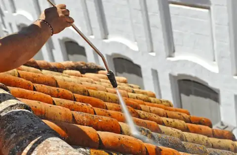 Nettoyage de toitures - Chevinay